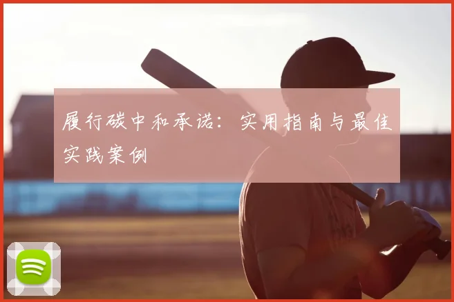 履行碳中和承诺:实用指南与最佳实践案例
