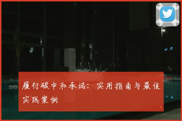 履行碳中和承诺：实用指南与最佳实践案例