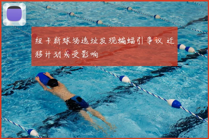 纽卡新球场选址发现蝙蝠引争议 迁移计划或受影响