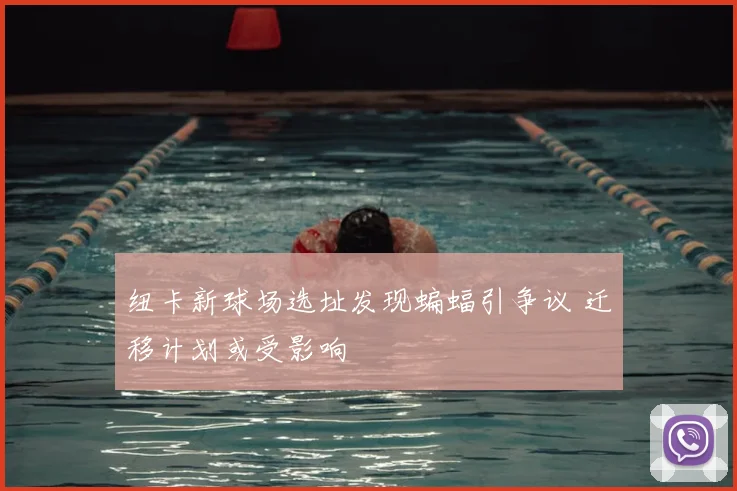 纽卡新球场选址发现蝙蝠引争议 迁移计划或受影响
